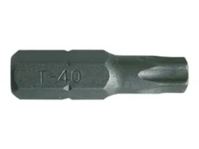 bits TORX T55 5/16" GOLA