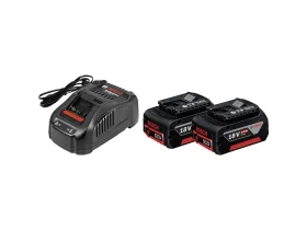 2x GBA 18V 5,0Ah aku. + GAL 1880CV nab.