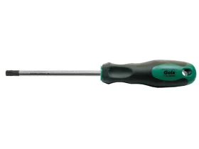 T25x6x100 šroubovák TORX