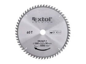 kotouč pilový s SK plátky, 300x2,2x30mm, 60T