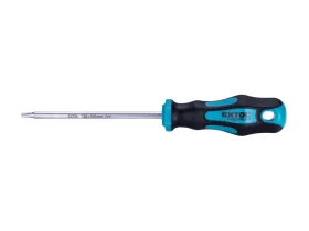 šroubovák TORX, TTa20x100mm, CrV