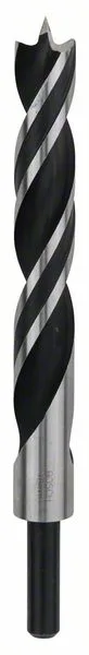 Standardní spirálový vrták do dřeva 18 x 130 x 180 mm, d 10 mm Standardní spirálový vrták do dřeva 18 x 130 x 180 mm, d 10 mm